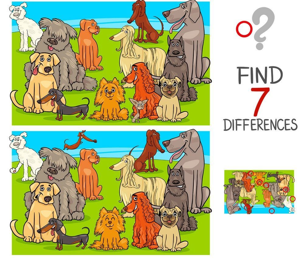 İki Resim Arasındaki 7 Farkı Bul