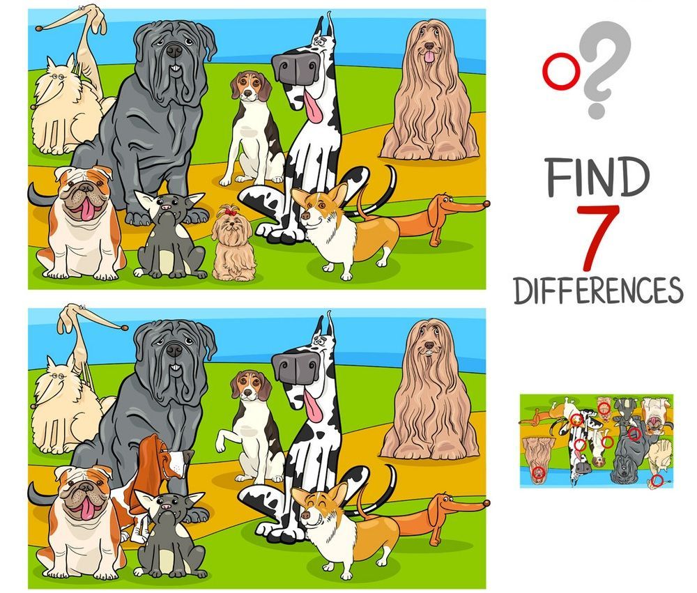 İki Resim Arasındaki 7 Farkı Bul