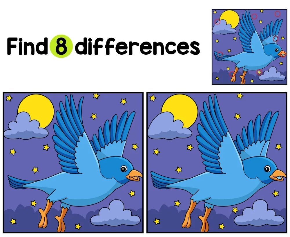 İki Resim Arasındaki 8 Farkı Bul