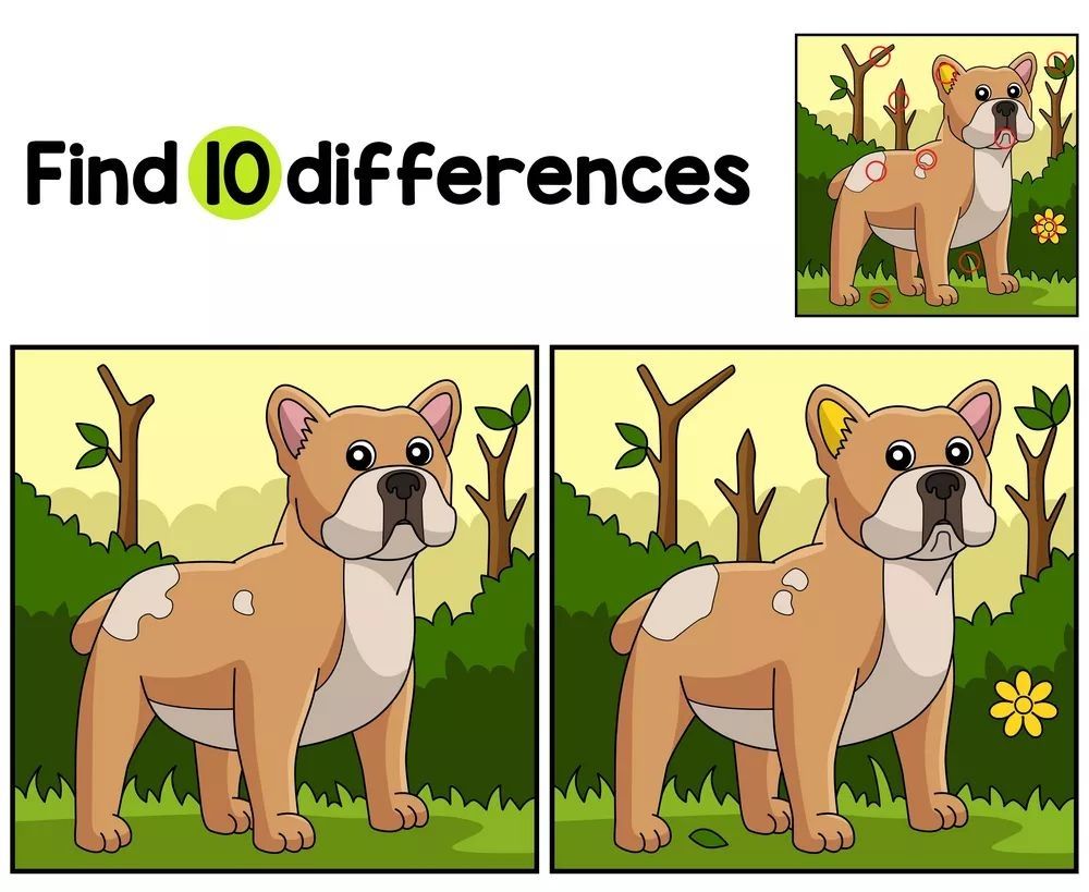 İki Resim Arasındaki 8 Farkı Bul