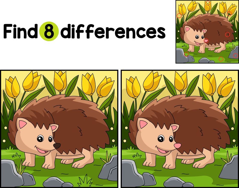 İki Resim Arasındaki 8 Farkı Bul