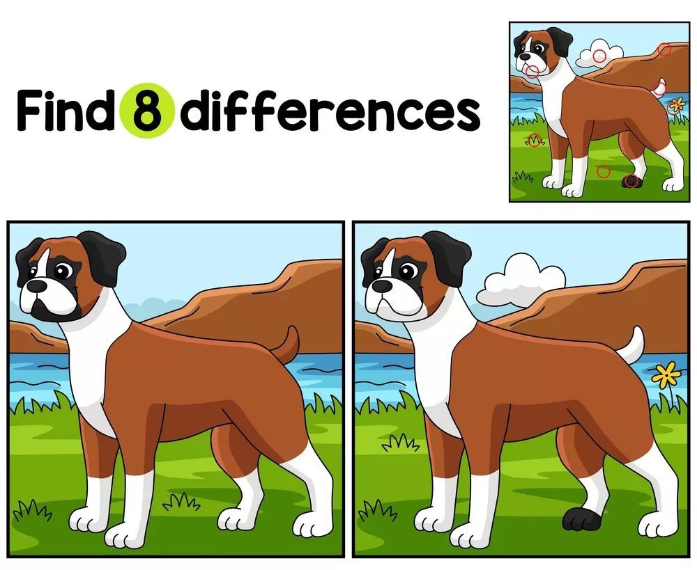 İki Resim Arasındaki 8 Farkı Bul