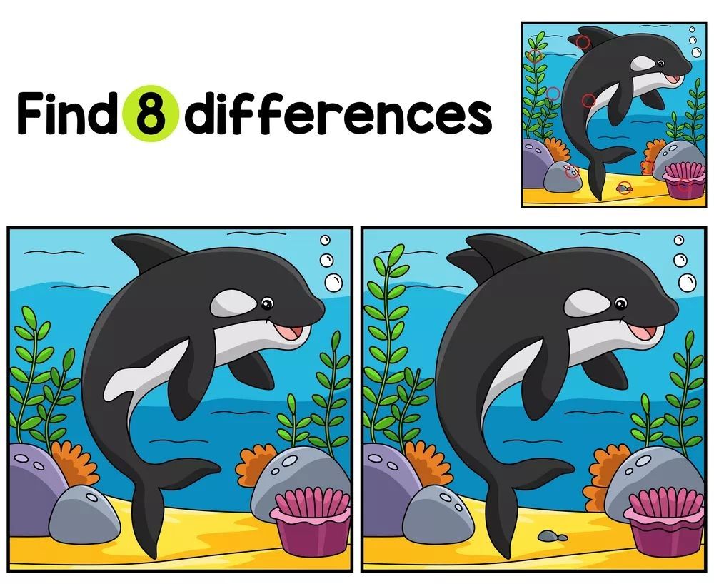 İki Resim Arasındaki 8 Farkı Bul