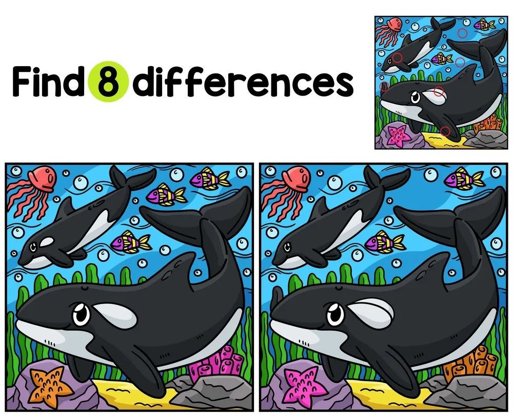 İki Resim Arasındaki 8 Farkı Bul