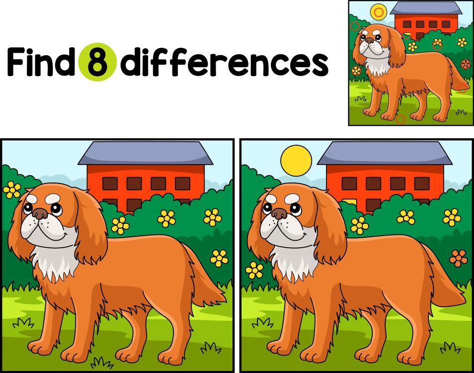 İki Resim Arasındaki 8 Farkı Bul