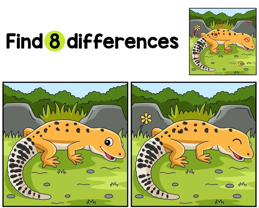 İki Resim Arasındaki 8 Farkı Bul