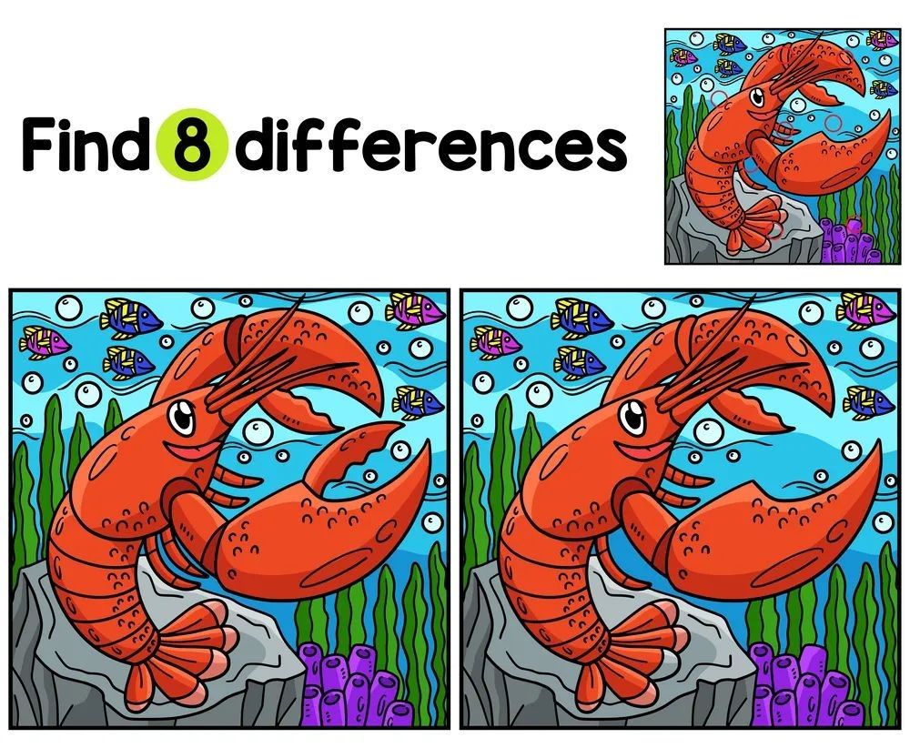 İki Resim Arasındaki 8 Farkı Bul