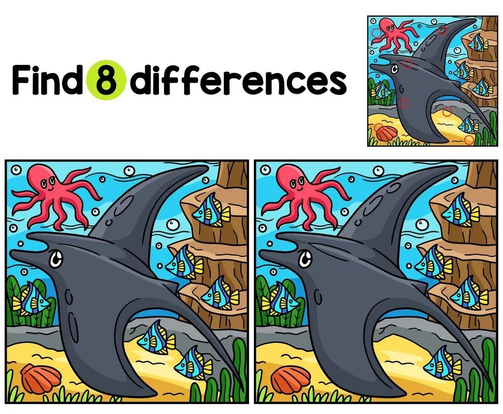 İki Resim Arasındaki 8 Farkı Bul