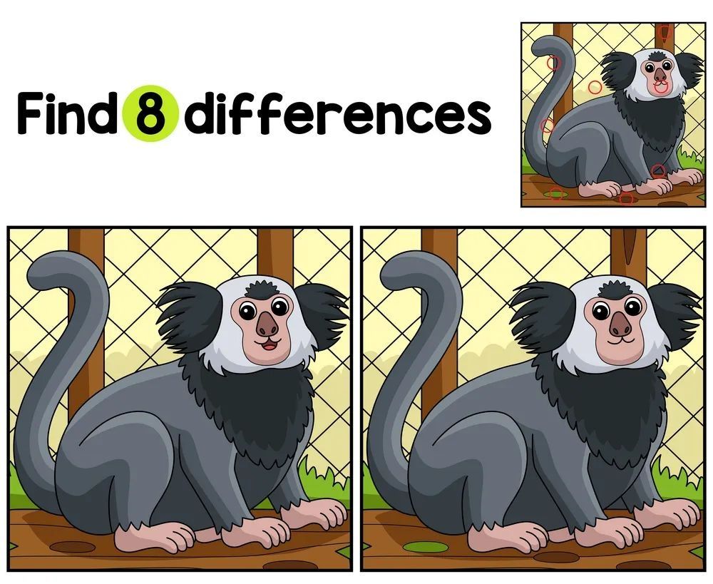 İki Resim Arasındaki 8 Farkı Bul