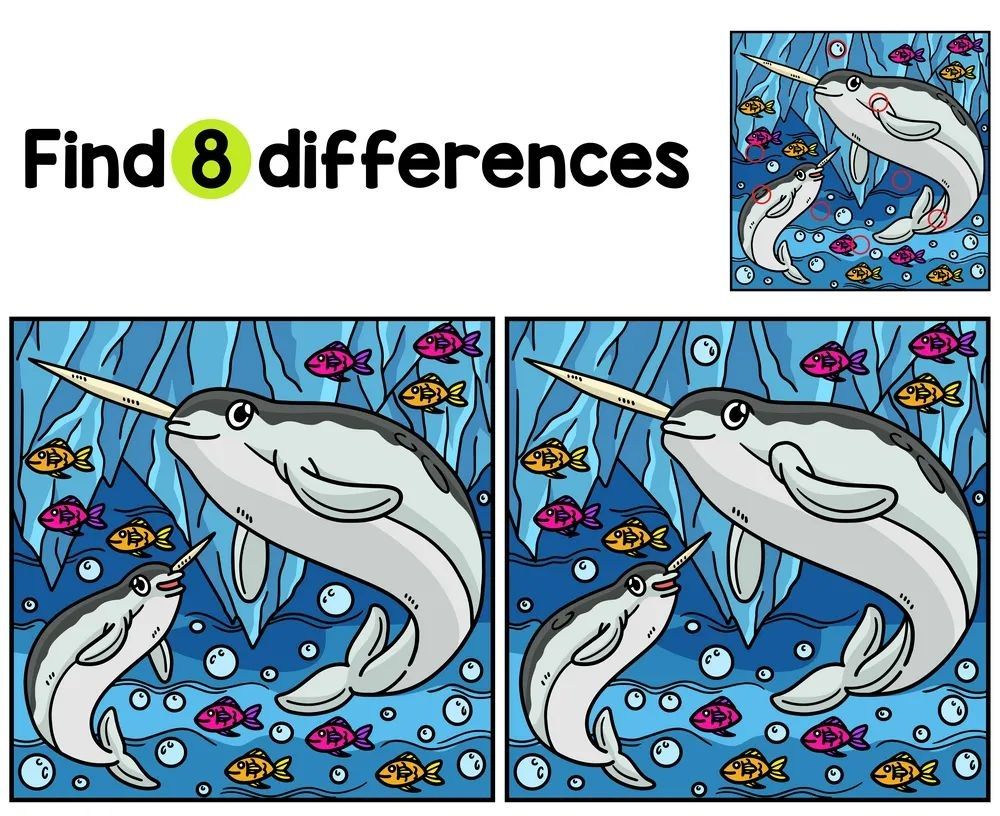 İki Resim Arasındaki 8 Farkı Bul