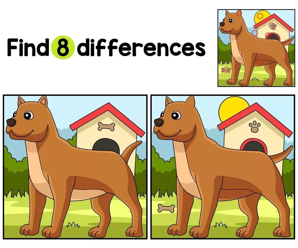 İki Resim Arasındaki 8 Farkı Bul