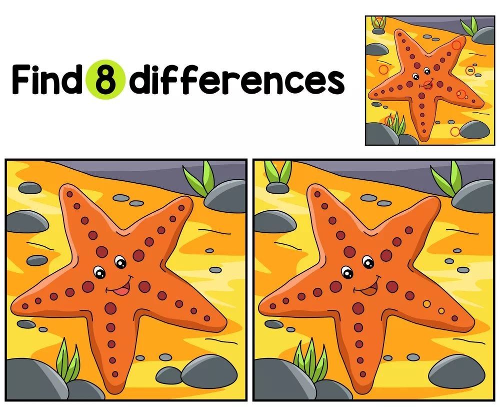 İki Resim Arasındaki 8 Farkı Bul