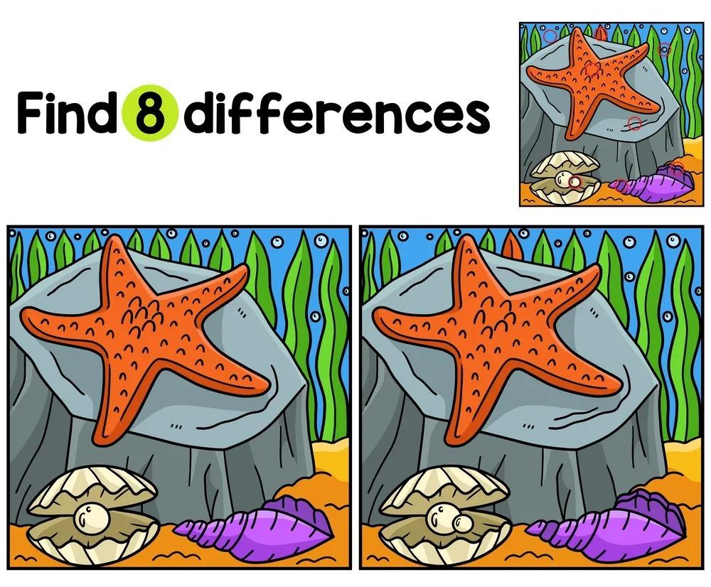 İki Resim Arasındaki 8 Farkı Bul