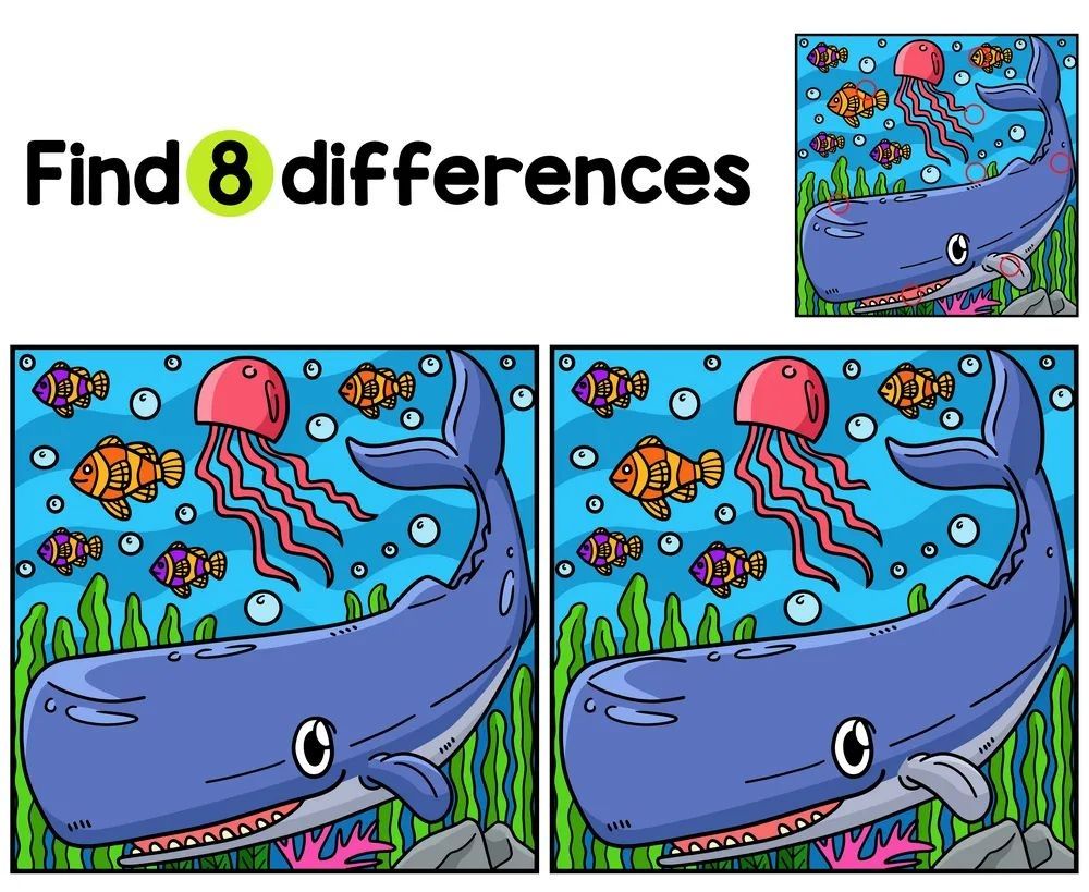 İki Resim Arasındaki 8 Farkı Bul