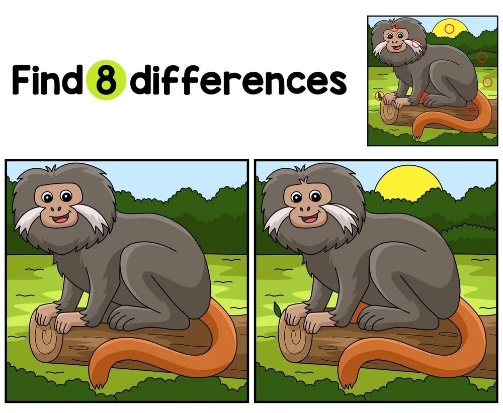 İki Resim Arasındaki 8 Farkı Bul