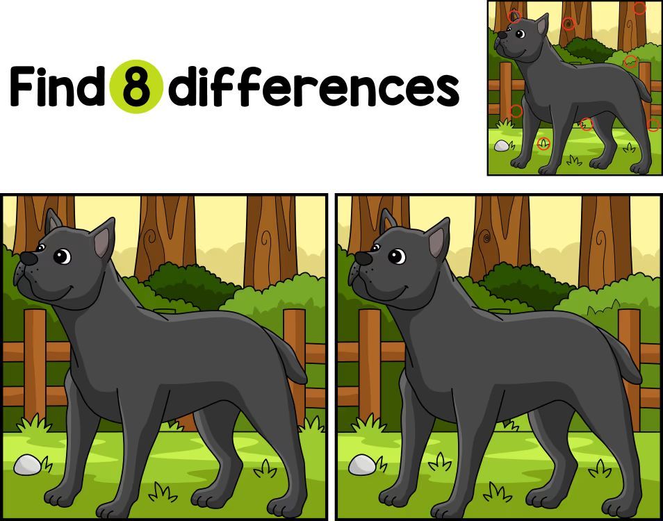 İki Resim Arasındaki 8 Farkı Bul