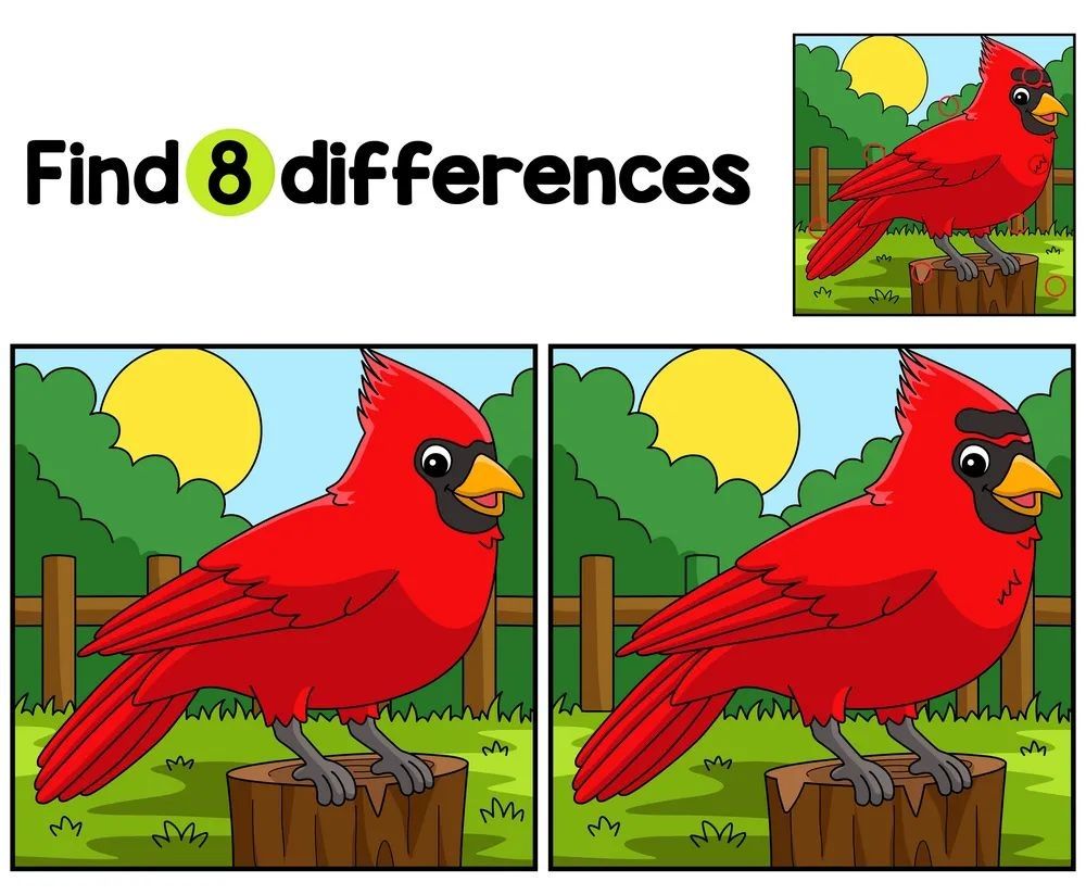 İki Resim Arasındaki 8 Farkı Bul