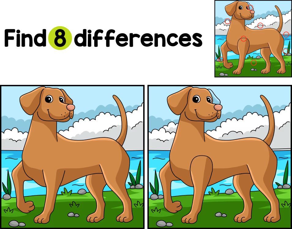 İki Resim Arasındaki 8 Farkı Bul