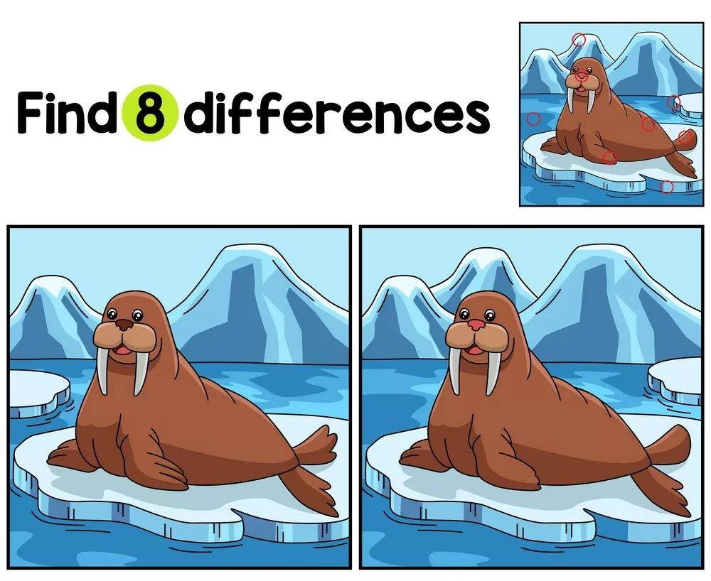 İki Resim Arasındaki 8 Farkı Bul