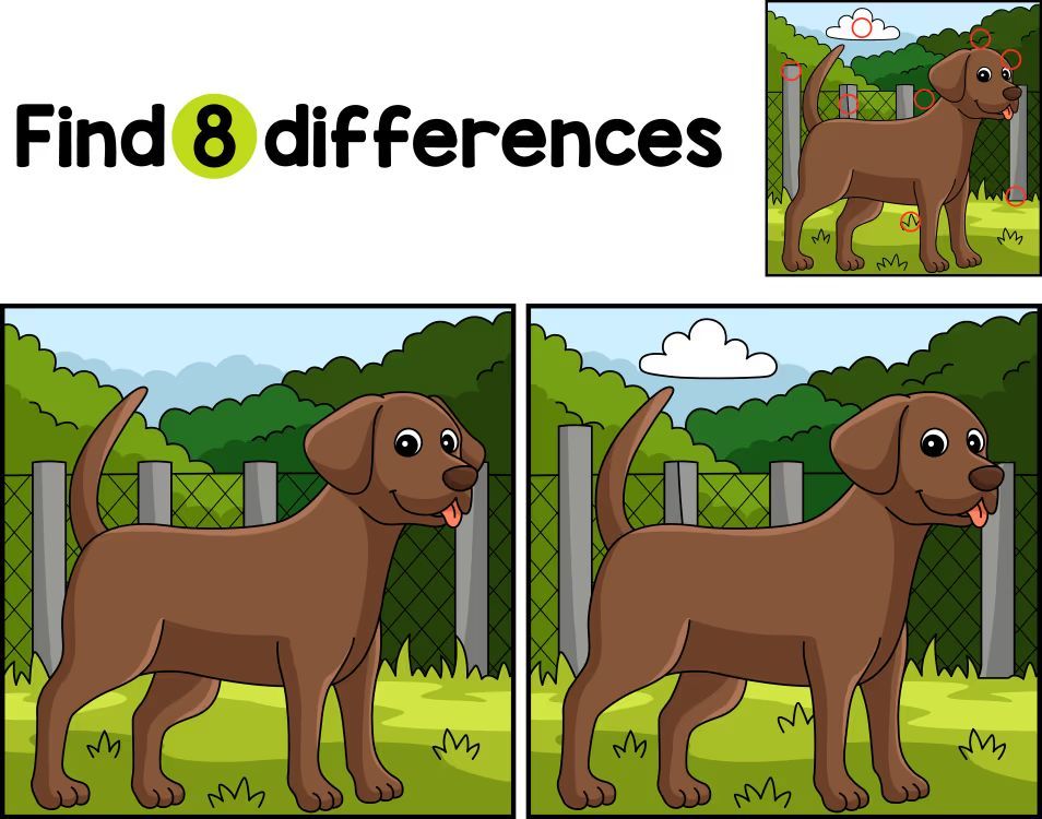 İki Resim Arasındaki 8 Farkı Bul