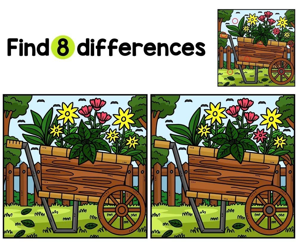 İki Resim Arasındaki 8 Farkı Bul